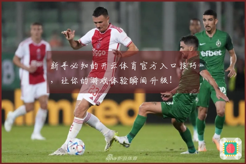 新手必知的开云体育官方入口技巧，让你的游戏体验瞬间升级！