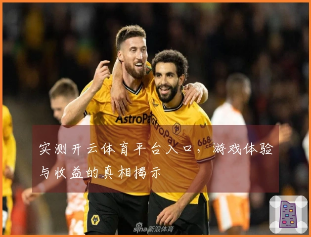 实测开云体育平台入口，游戏体验与收益的真相揭示